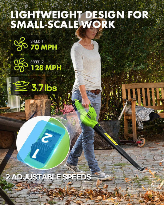 Anykit - Soplador de hojas inalámbrico – Soplador eléctrico de hojas de 20 V con batería y cargador, soplador inalámbrico ligero de mano de 2 velocidades para limpiar el patio, entrada (verde)